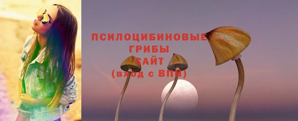 стафф Вязники