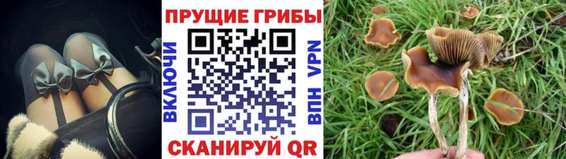 Псилоцибиновые грибы мухоморы  Пласт 